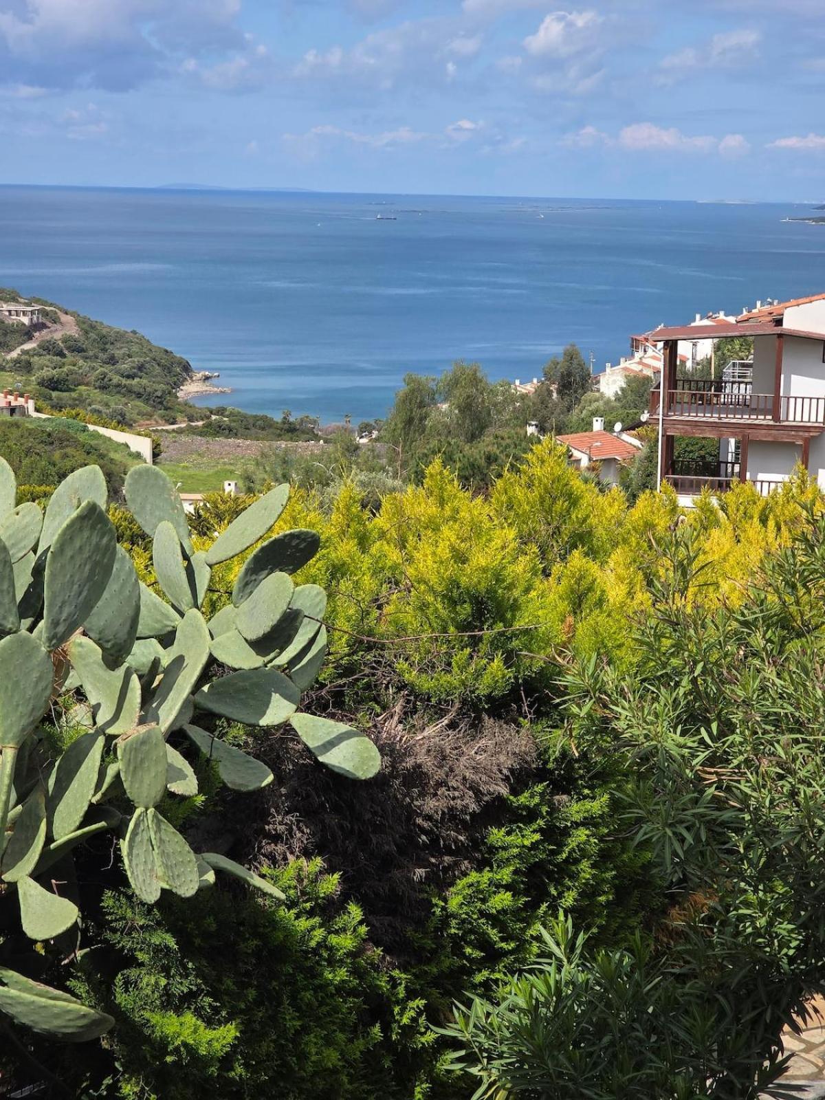 Sevinc Akasya Luxury Villa Milas Екстер'єр фото